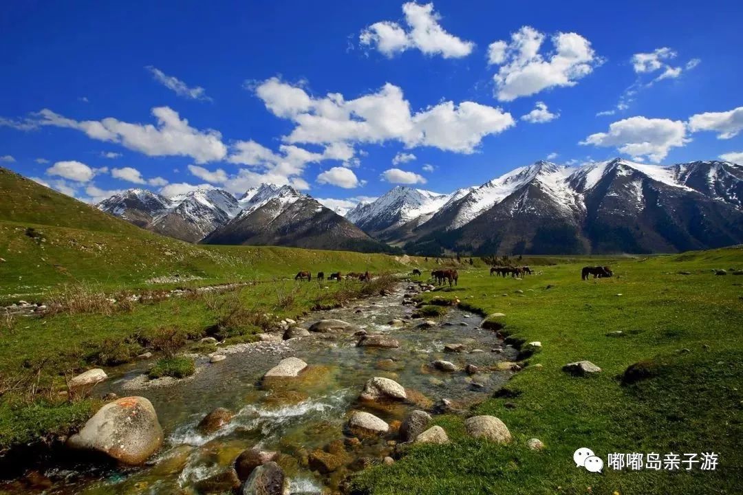 新疆风情，疆域之韵，生活之彩——诗意远行